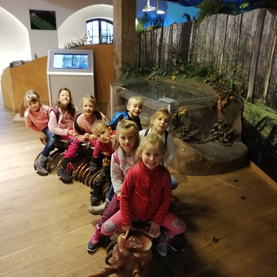 Exkurze do poznání