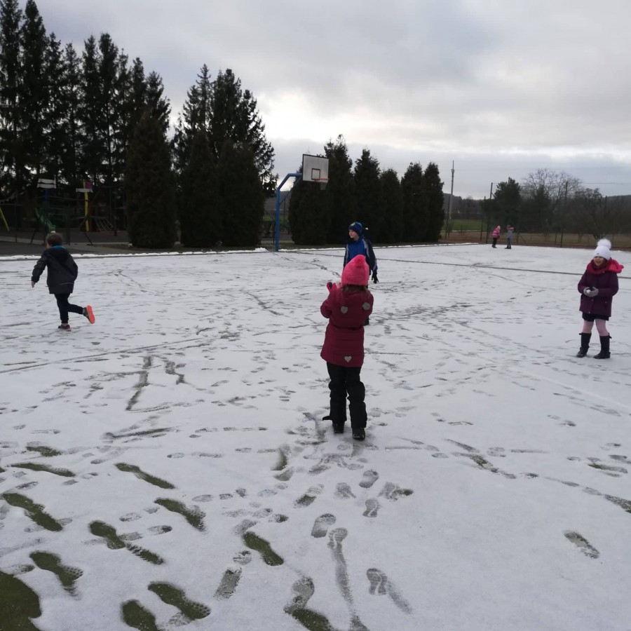 LEDEN ve školní družině