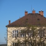 Čápi navštívili naši školu !